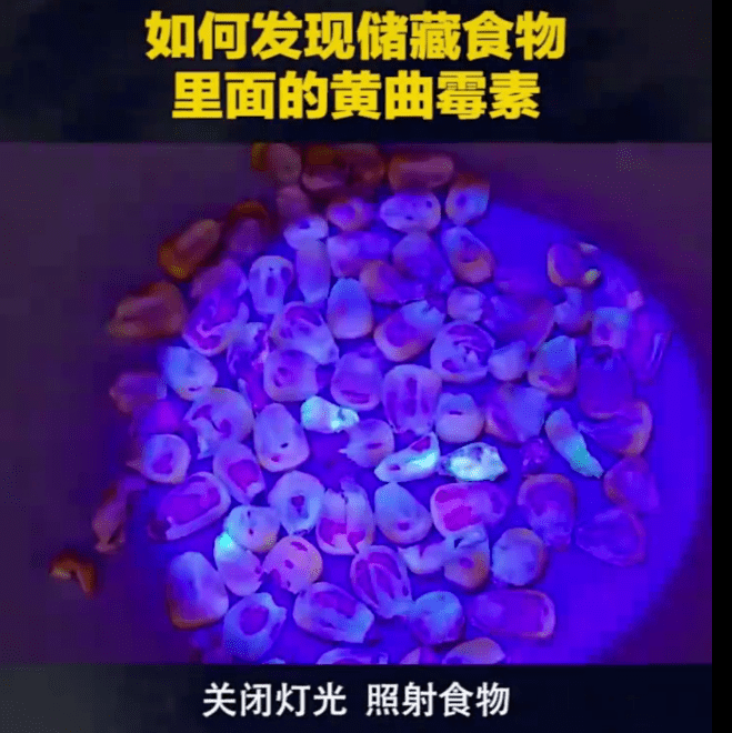 微信截圖_20220304143531.png