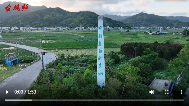 頭陀茭白試種印尼，有望10月上市