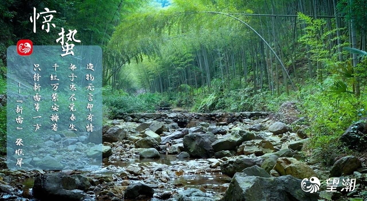 節(jié)氣·賞非遺丨驚蟄春雷響，竹間匠心藏